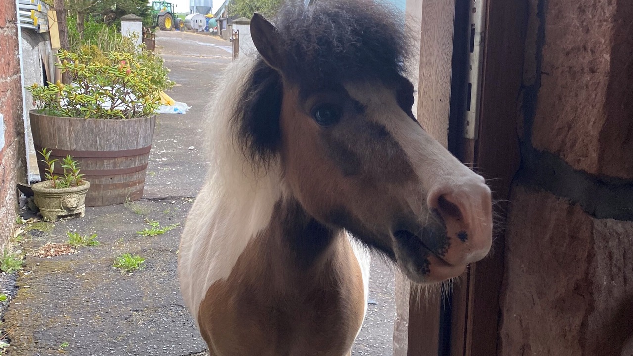 Photo of Others in Ardrossan