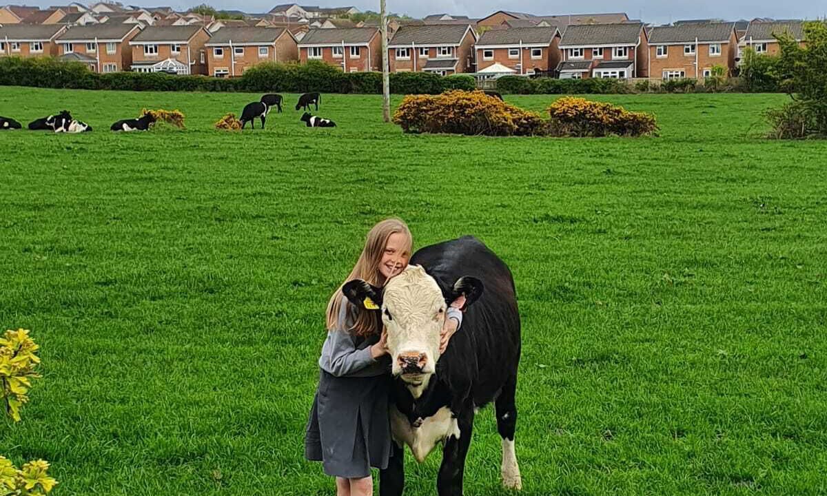 Photo of Others in Ardrossan