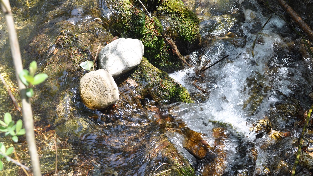 Photo of Outdoor in Alcover