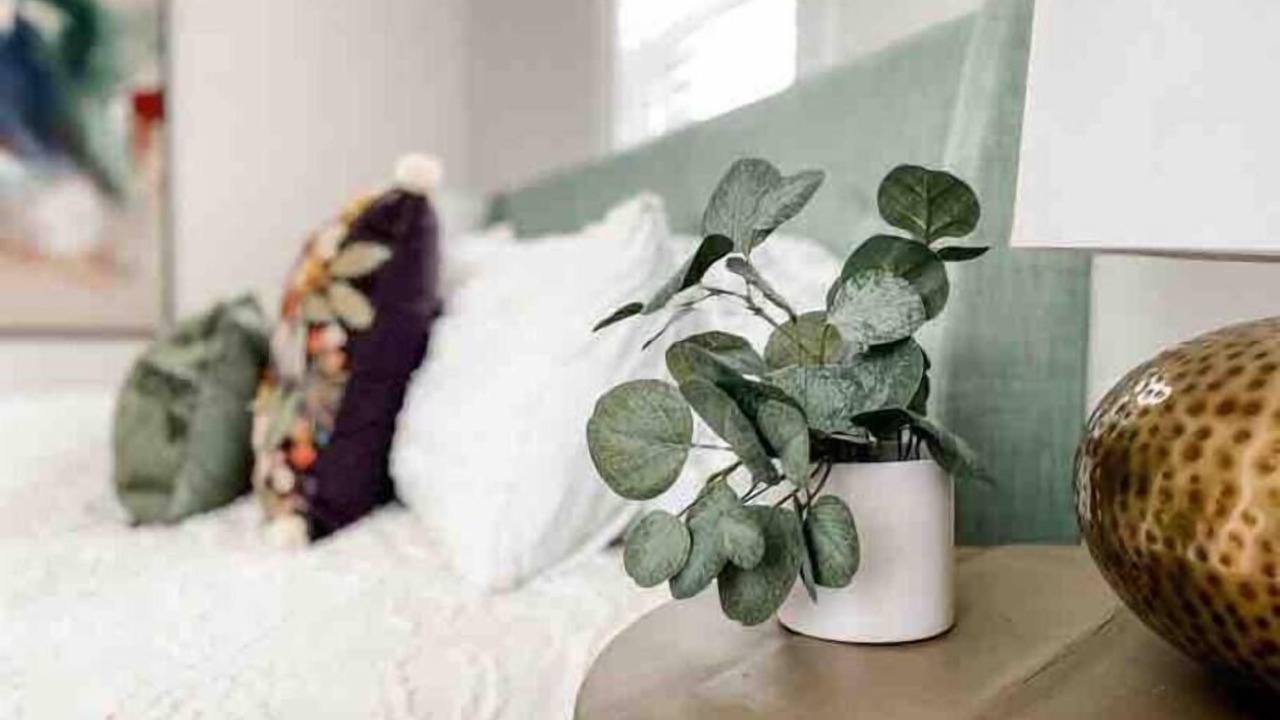 Photo of Others in Rochester