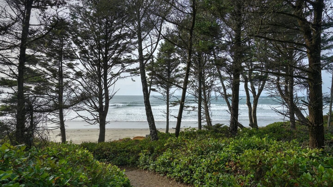 Photo of Others in Otter Rock