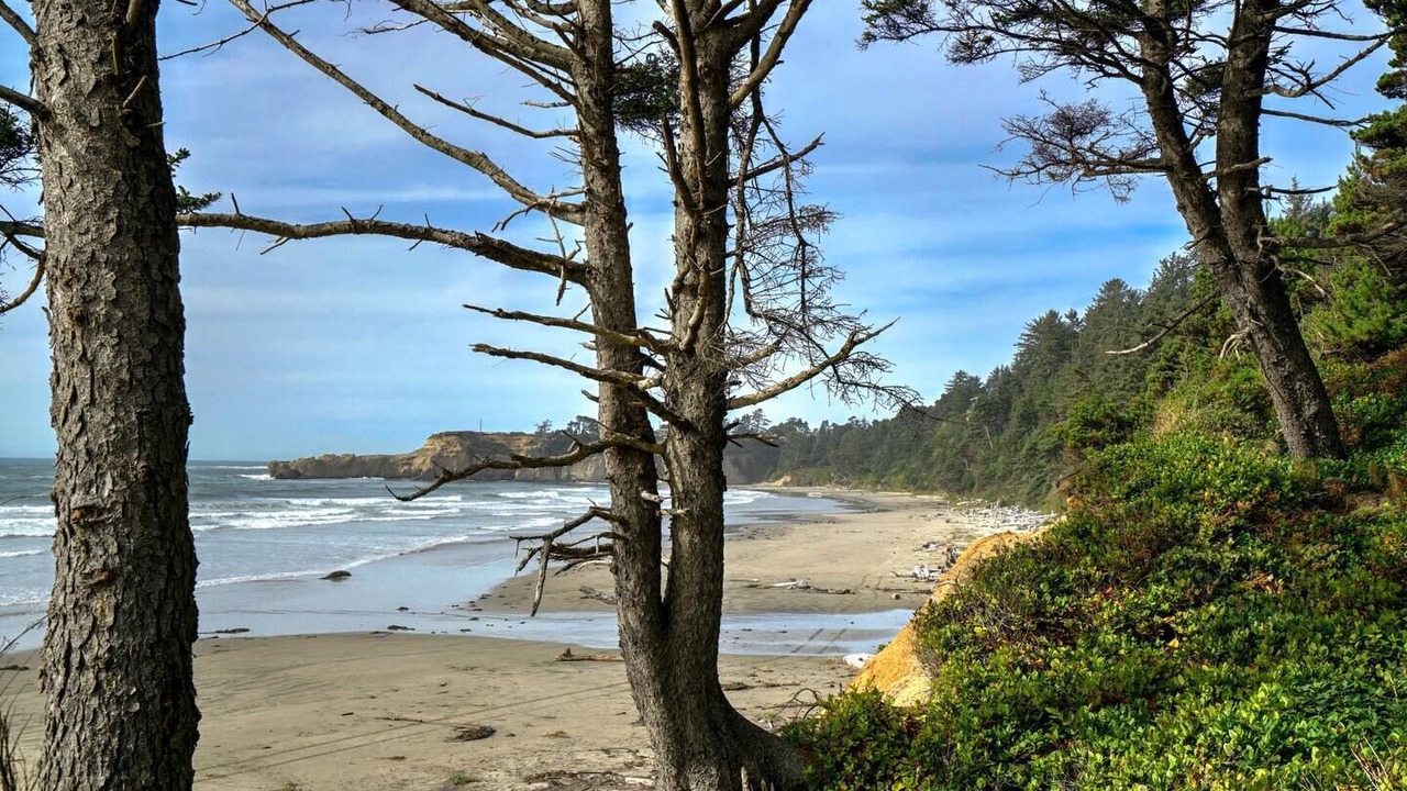 Photo of Others in Otter Rock