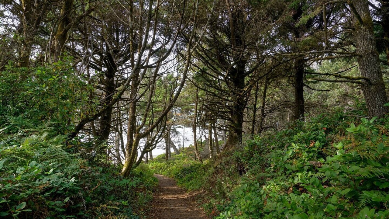 Photo of Others in Otter Rock