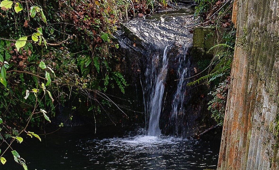 Photo of Outdoor in Benque-Molere