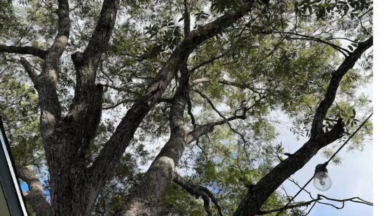 Photo of Others in Lockhart