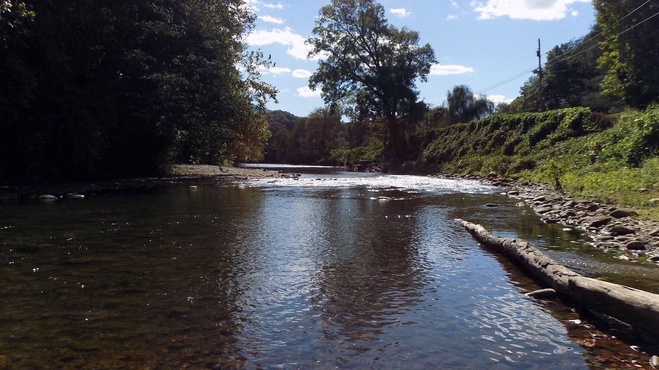 Photo of Outdoor in Townsend