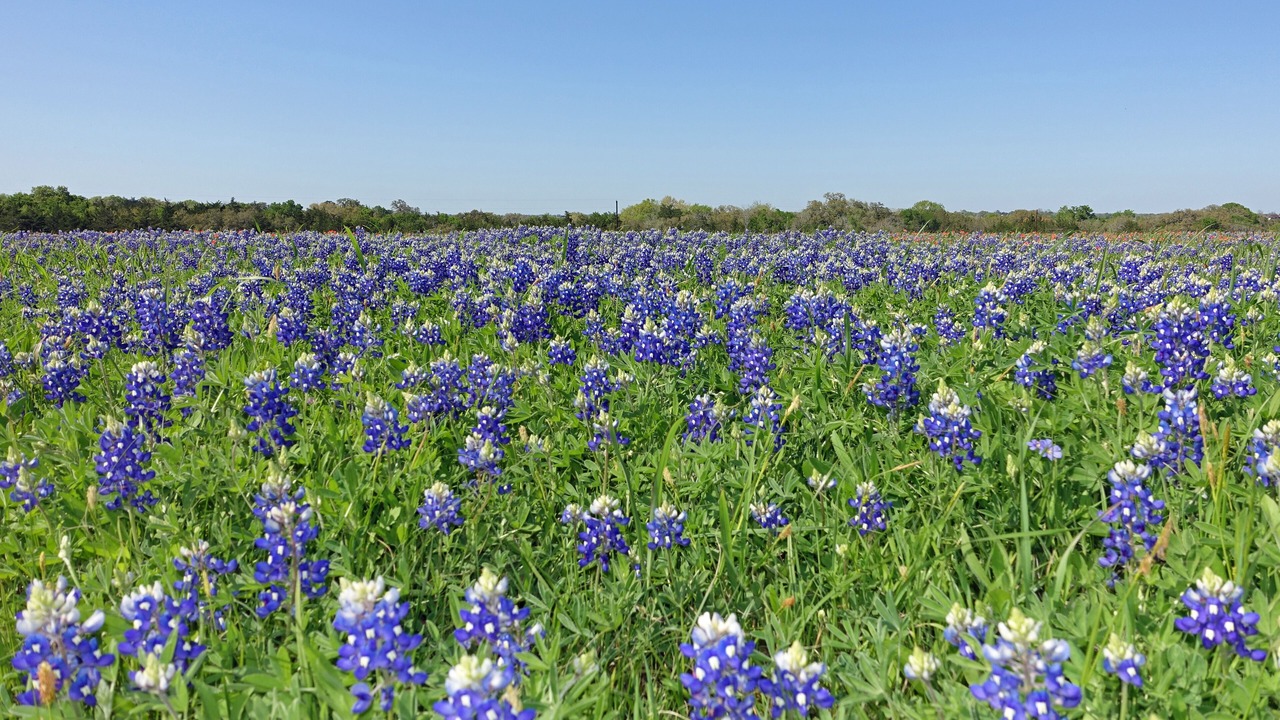 Photo of Outdoor in Round Top