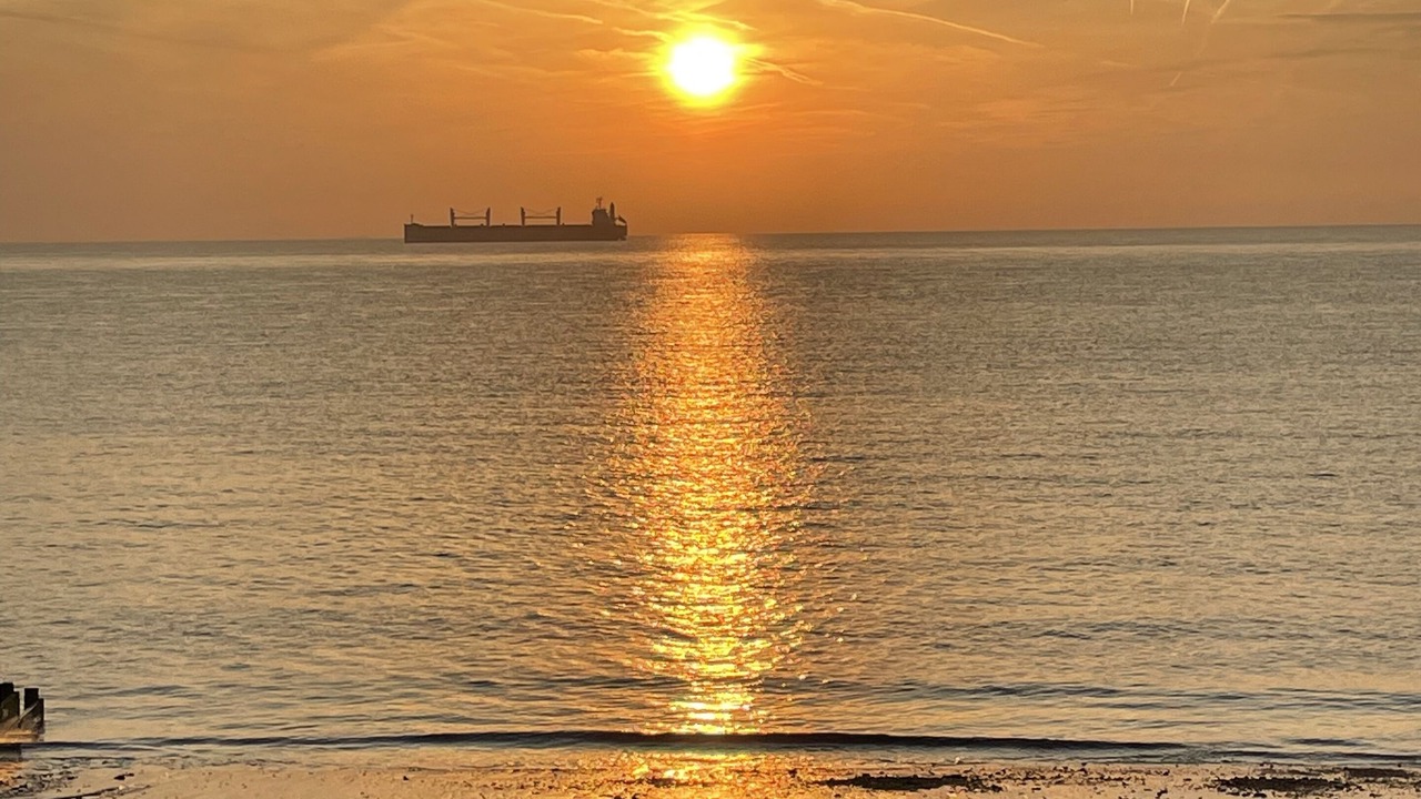 Photo of Others in Martin