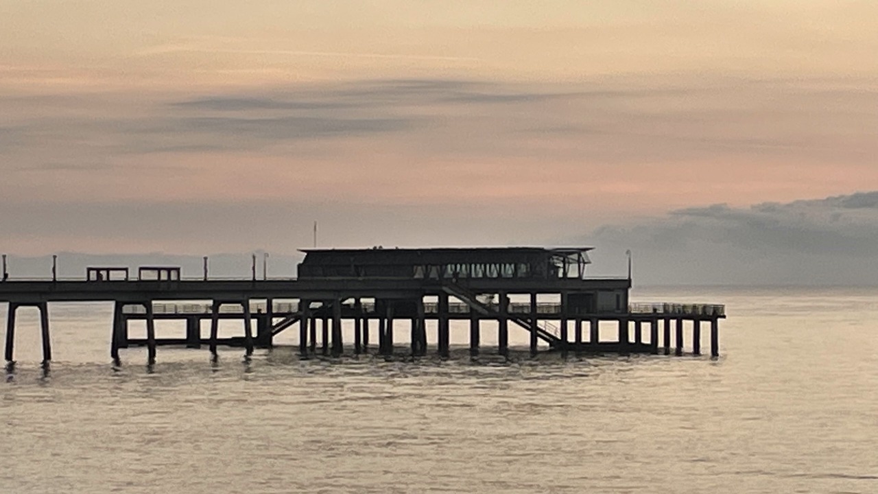 Photo of Others in Martin