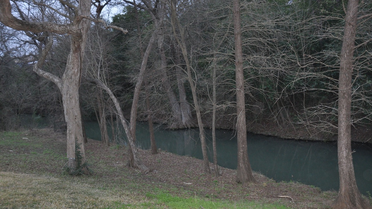 Photo of Others in McQueeney