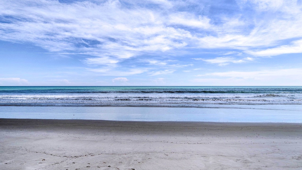 Photo of Others in South Patrick Shores