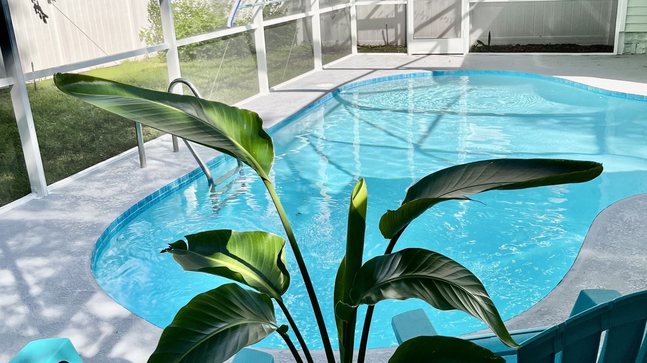 Photo of Outdoor in Mount Dora