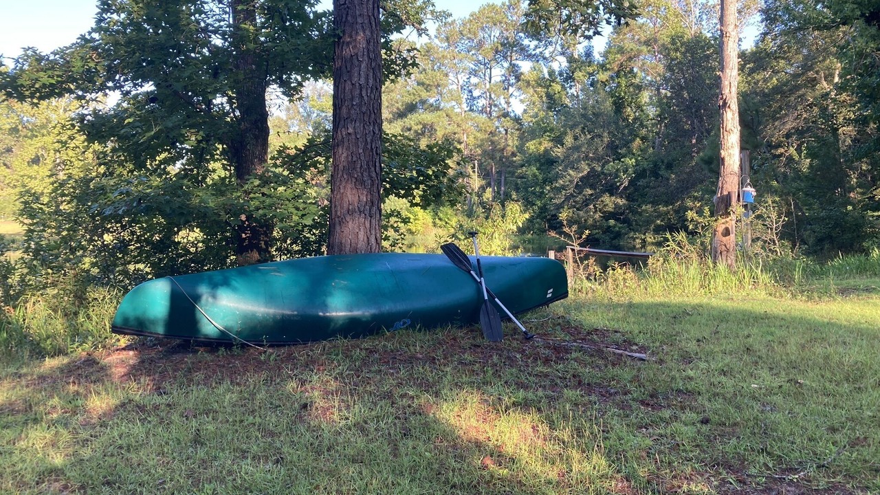 Photo of Others in Tallahassee