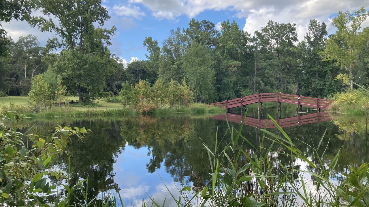 Photo of Others in Tallahassee