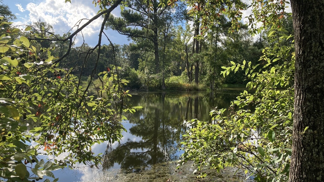 Photo of Others in Tallahassee