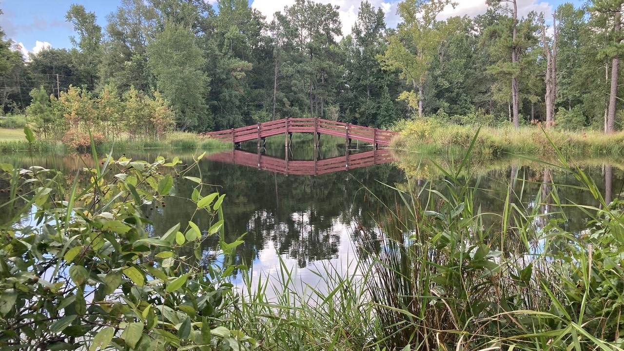 Photo of Outdoor in Tallahassee