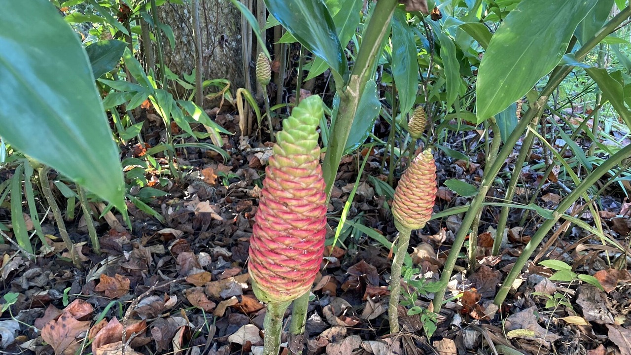 Photo of Others in Tallahassee