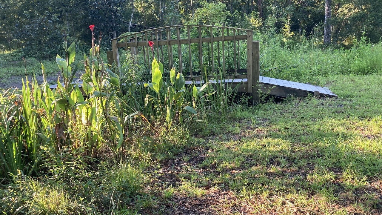 Photo of Others in Tallahassee