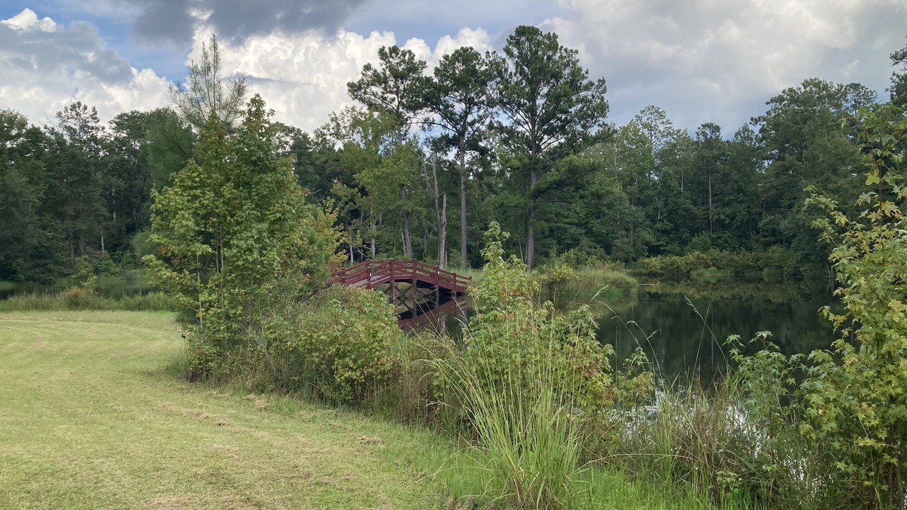 Photo of Others in Tallahassee