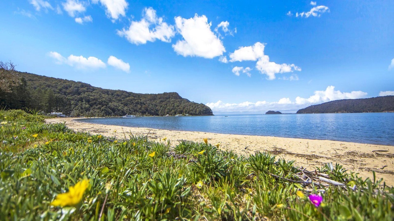 Photo of Others in Patonga