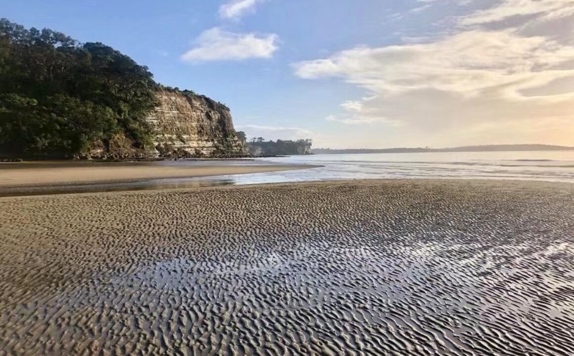 Photo of Others in Torbay