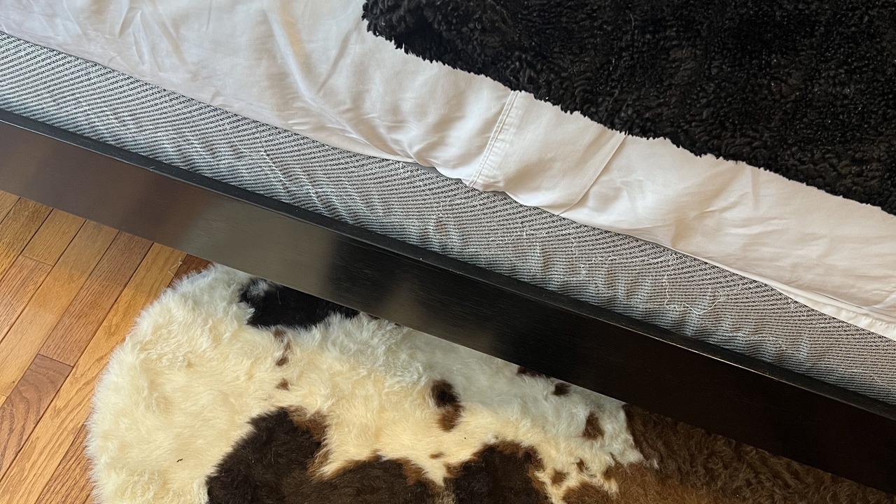 Photo of Bedroom in East New York