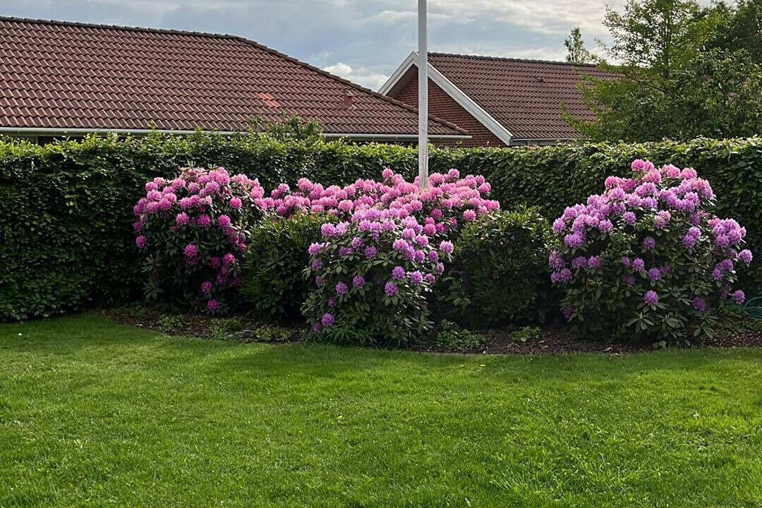 Photo of Outdoor in Billund