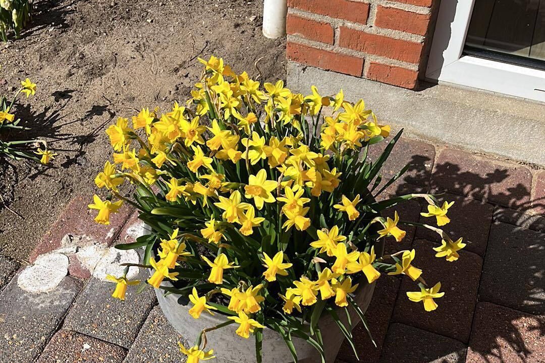 Photo of Outdoor in Billund