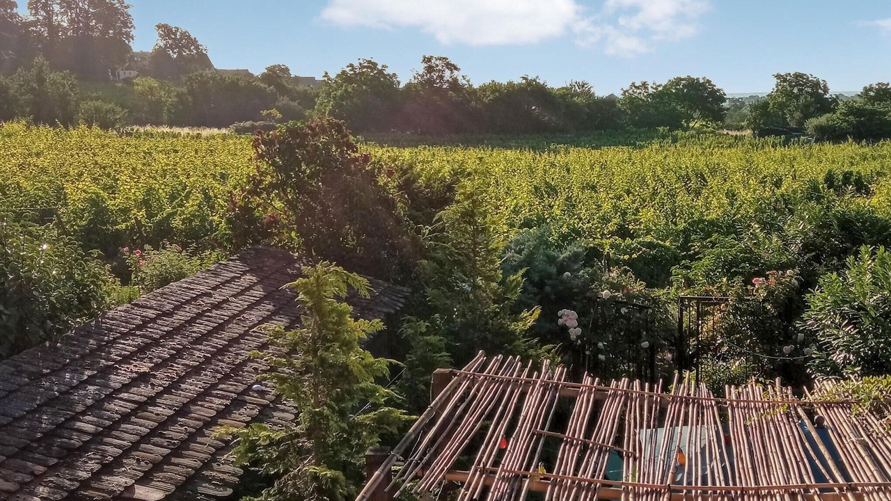 Photo of Bedroom in Mittelbergheim