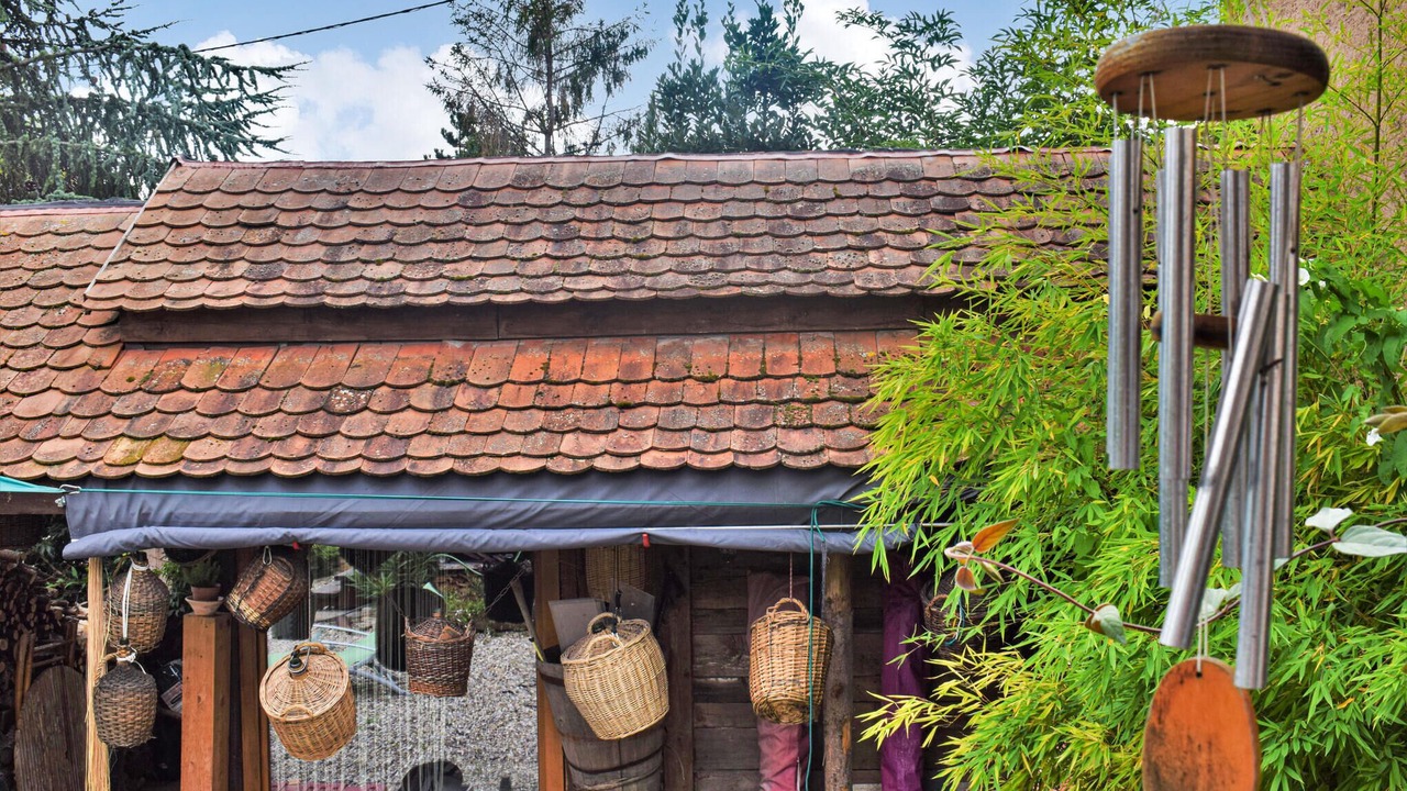 Photo of Others in Mittelbergheim