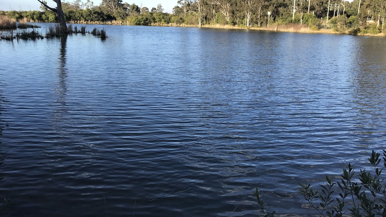 Photo of Outdoor in Campbelltown