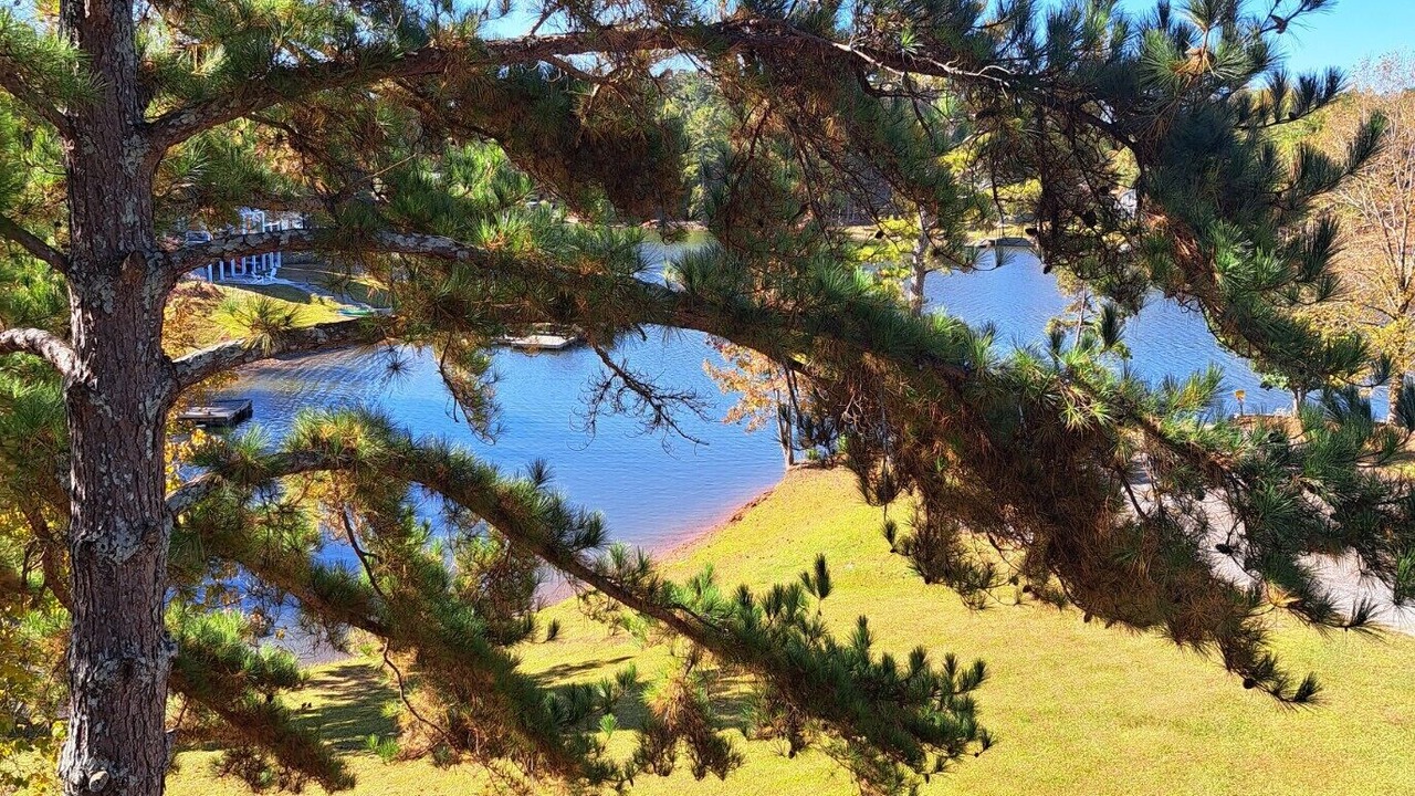 Photo of Outdoor in Wedowee