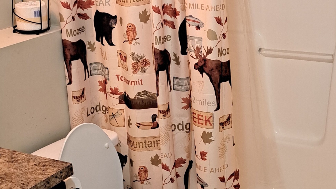 Photo of Bathroom in Wedowee