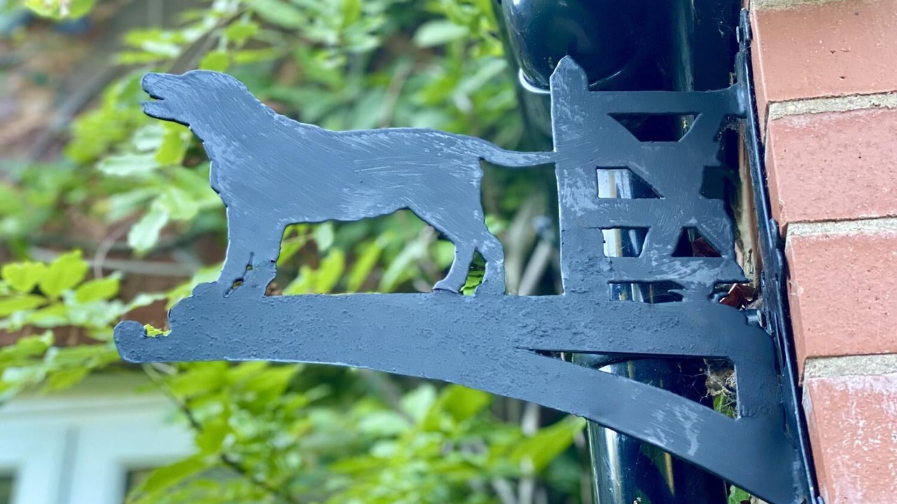 Photo of Outdoor in Porlock