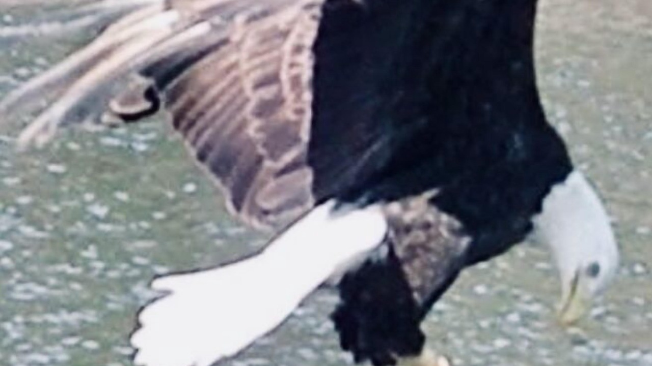 Photo of Others in Roscoe