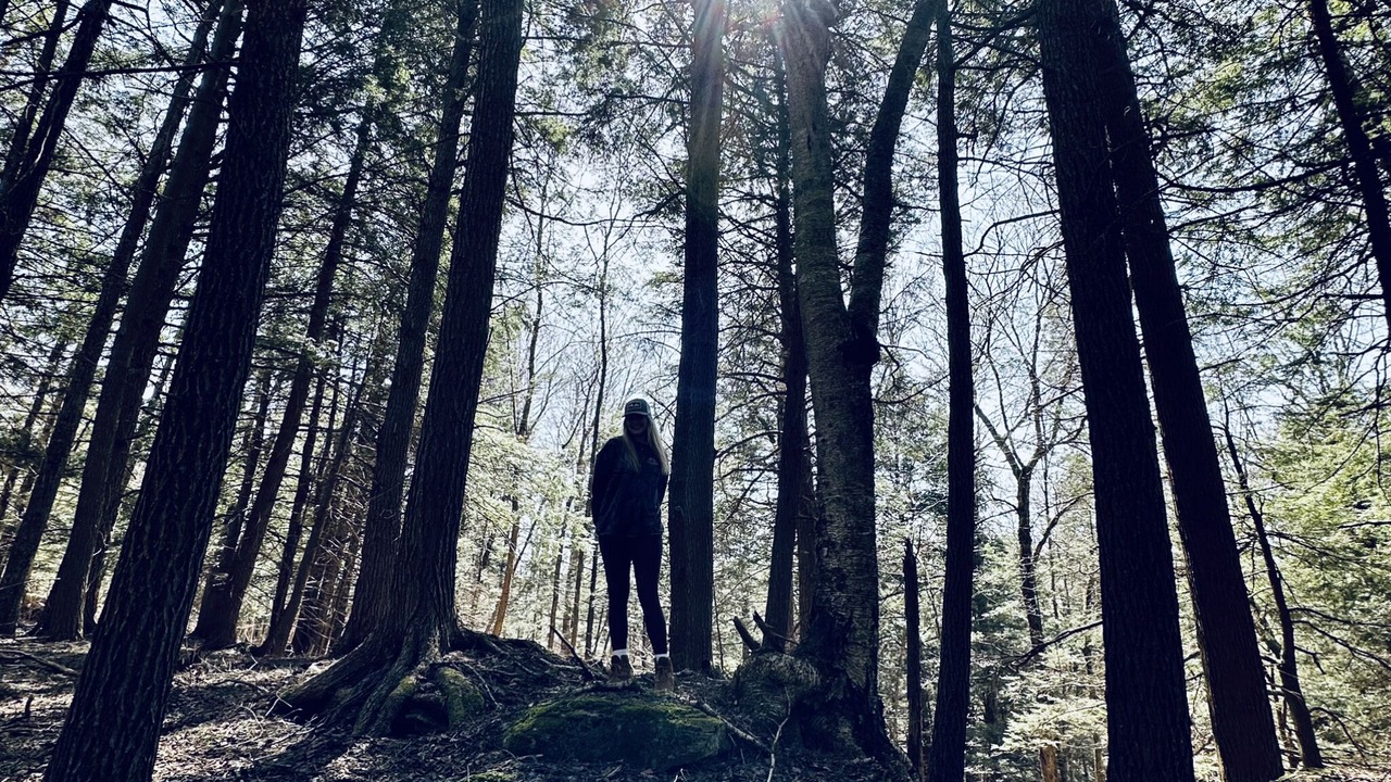 Photo of Others in Roscoe