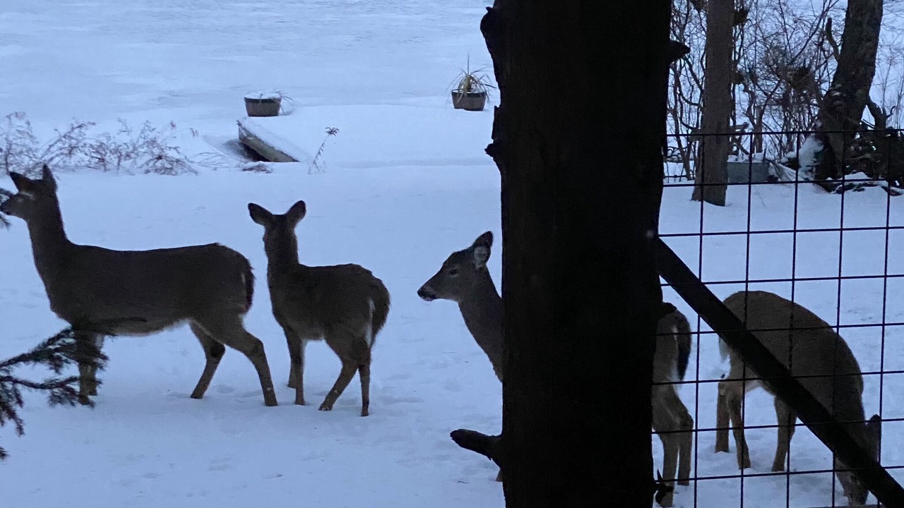 Photo of Others in Roscoe