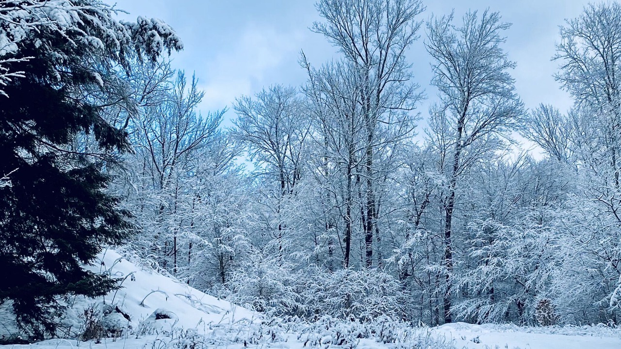 Photo of Outdoor in Roscoe