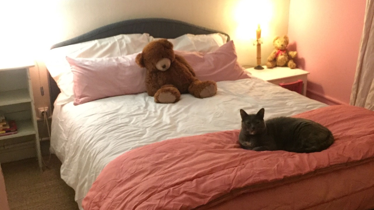 Photo of Bedroom in Bouvresse