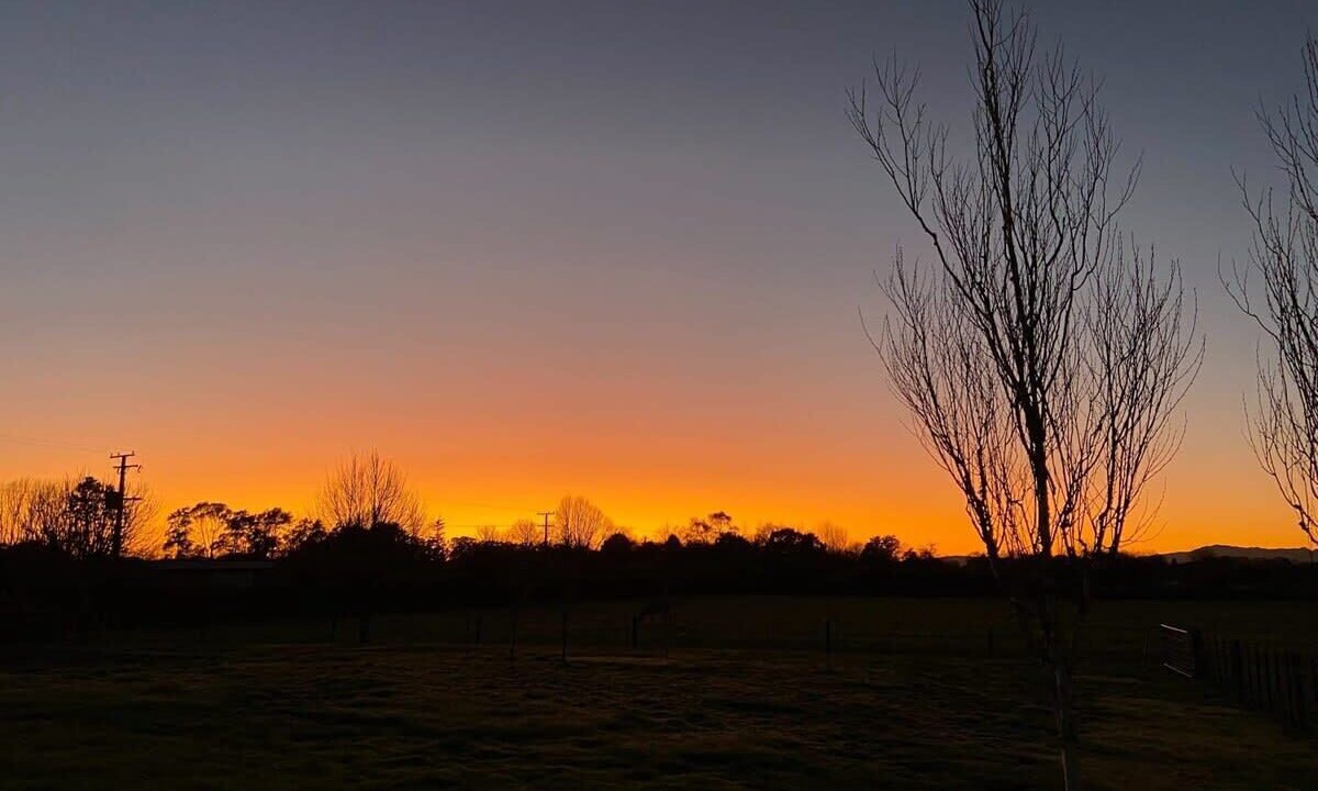 Photo of Others in Ohaupo