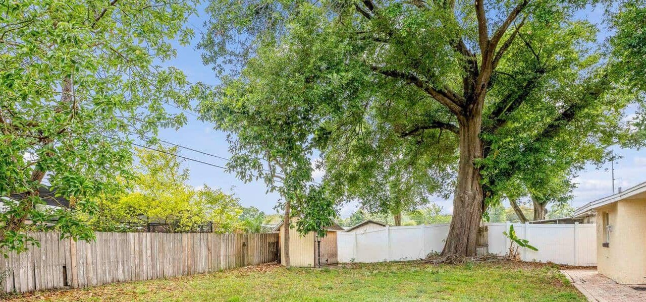 Photo of Outdoor in Conway
