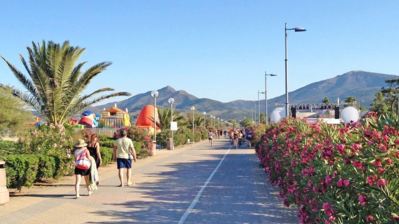 Photo of Others in Plage d'Argeles