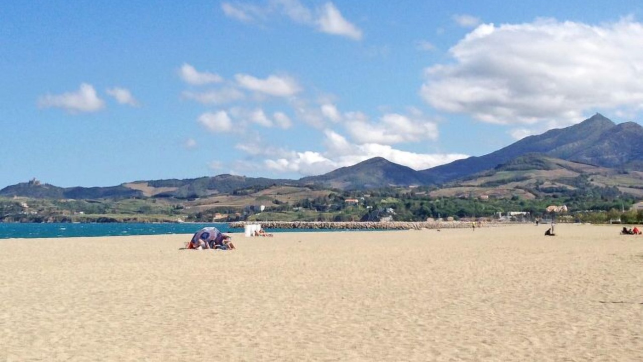 Photo of Others in Plage d'Argeles