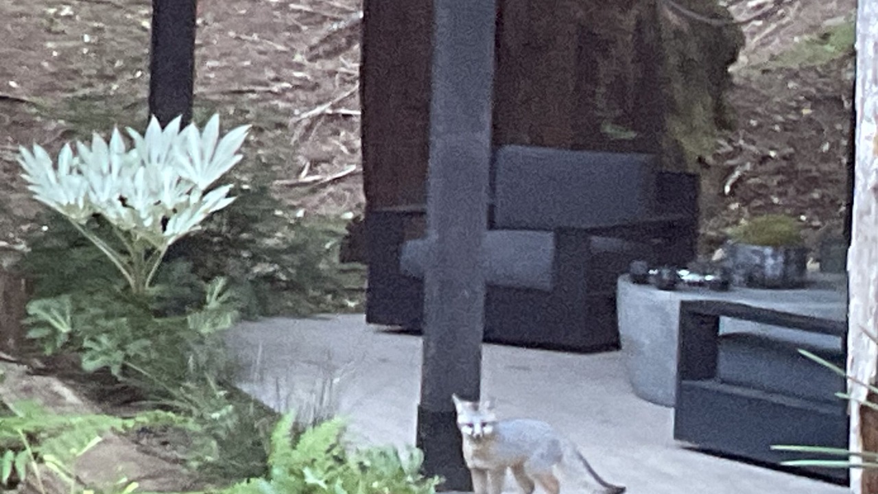 Photo of Others in Monte Rio