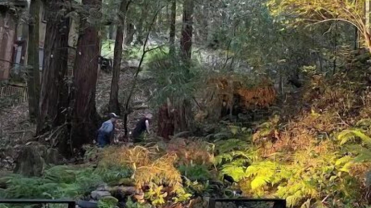 Photo of Outdoor in Monte Rio