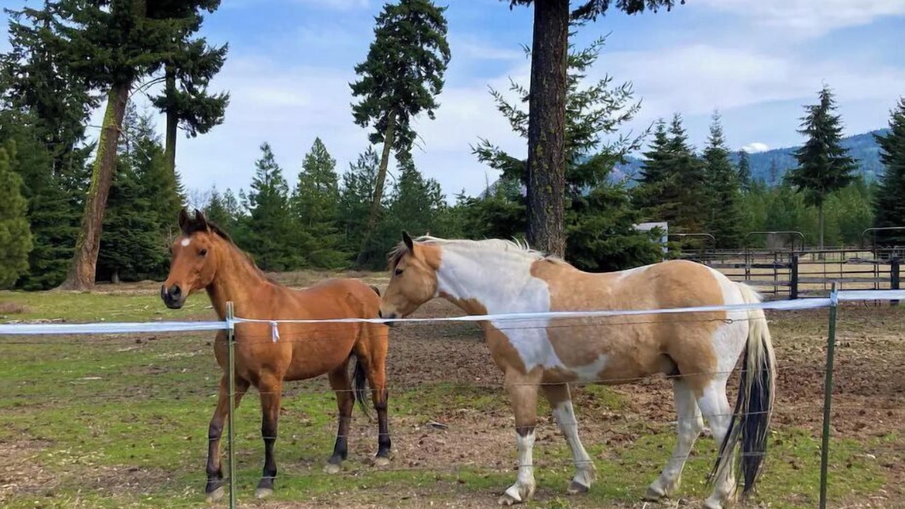 Photo of Others in Cle Elum