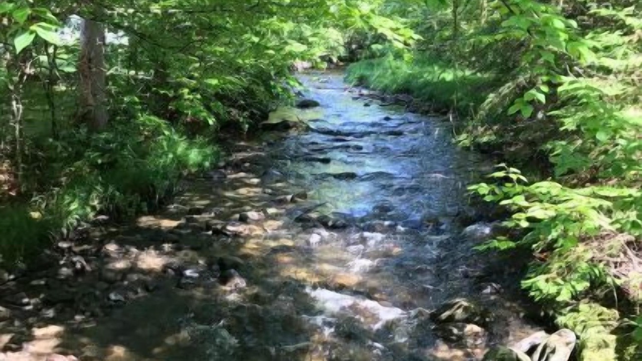 Photo of Others in Lisbon