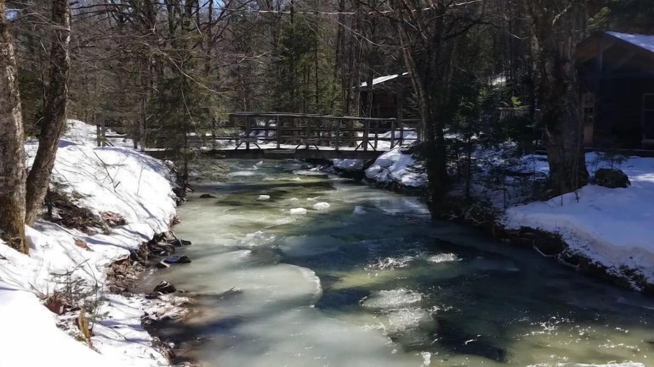 Photo of Others in Lisbon