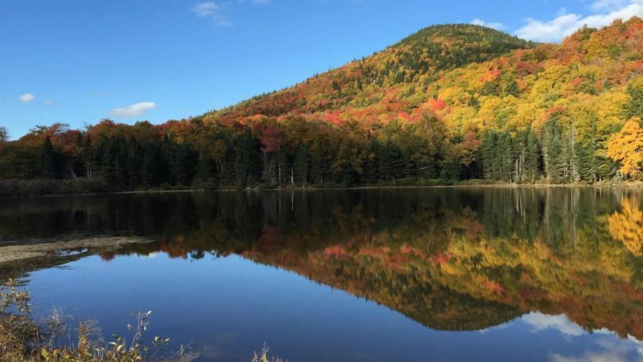Photo of Others in Lisbon