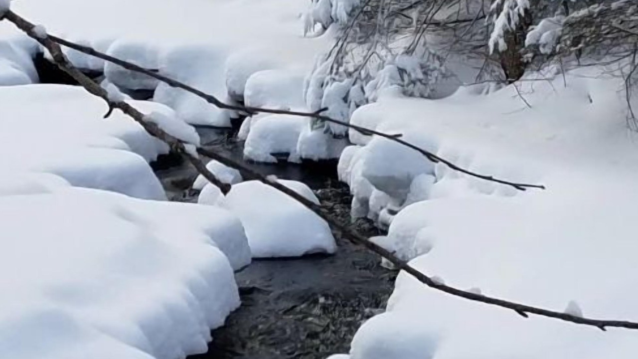 Photo of Others in Lisbon